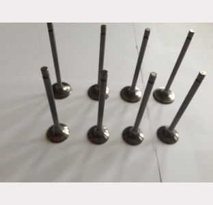 Exhaust valve kit PN CB500/550EV4E